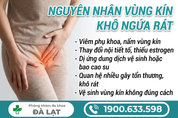 Hình ảnh minh họa
